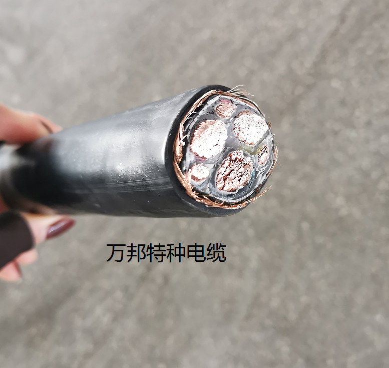 FZ-FSY-WDZC-RYJYP-105o-1.8/3KV-3*10