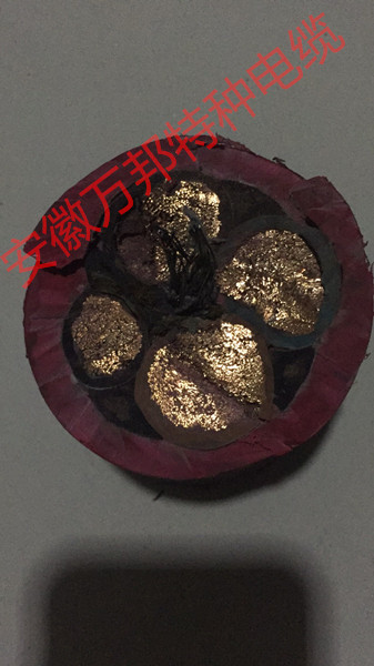 卷筒電纜，型號GC-JTCABLEG，規(guī)格10*2.5