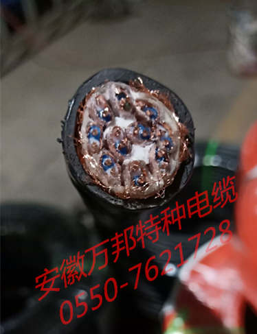 計(jì)算機(jī)電纜，DJYPVP