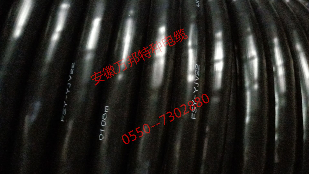 防鼠蟻鎧裝電纜，F(xiàn)SY-YJV22