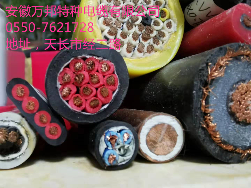 ZR192-DJF4PF46P, ZR-RVV 高溫計算機電纜，阻燃電纜