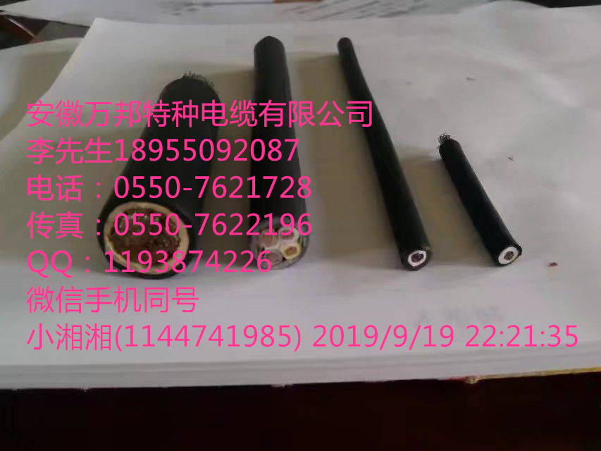 ZR-SLRS22 通訊電纜