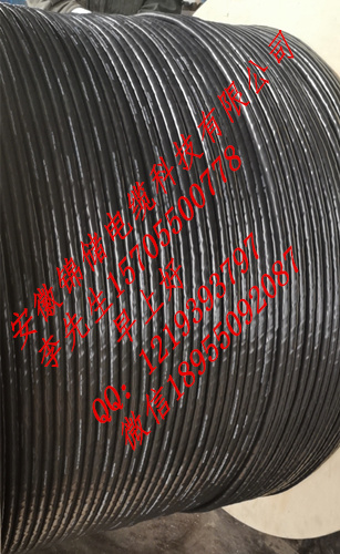 ZRA-KVVP2/22 阻燃控制電纜