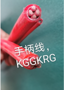 DYR         16*1.5    手柄線   10*1.5+2鋼絲