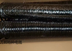WBTHYVR    彈簧電纜