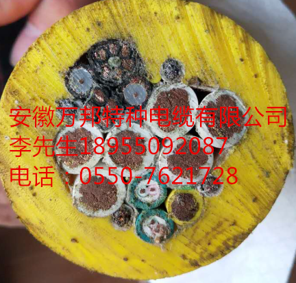 鐵氟龍絕緣單芯軟電線(xiàn) SFR型號(hào)：SFR名稱(chēng)