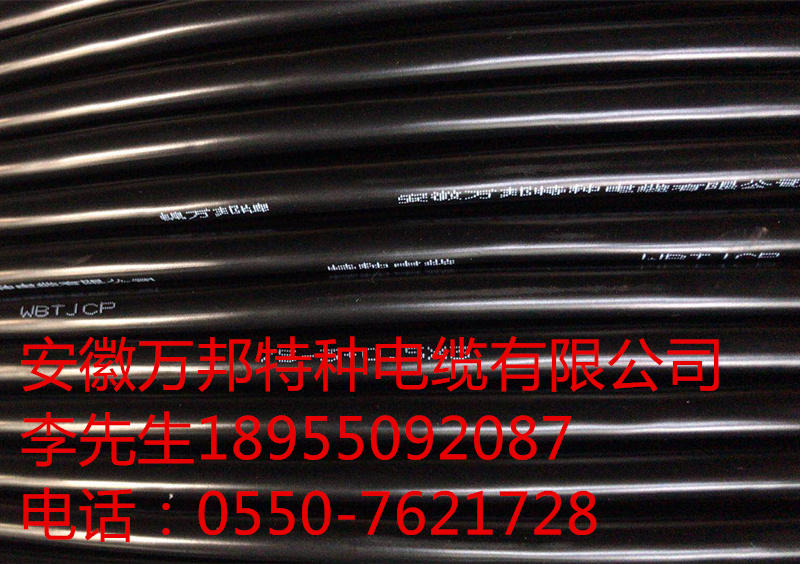 機(jī)車電纜 DCEYH  1*50