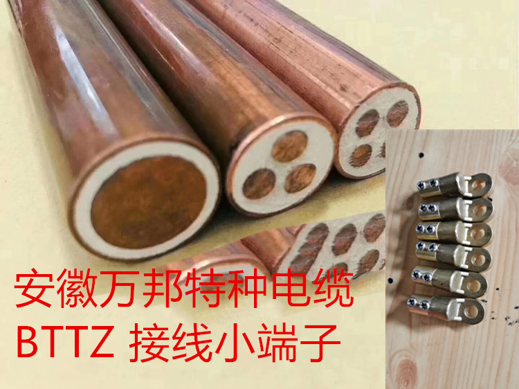 ZC-CPEV-S 300/500V 1*2*1.5